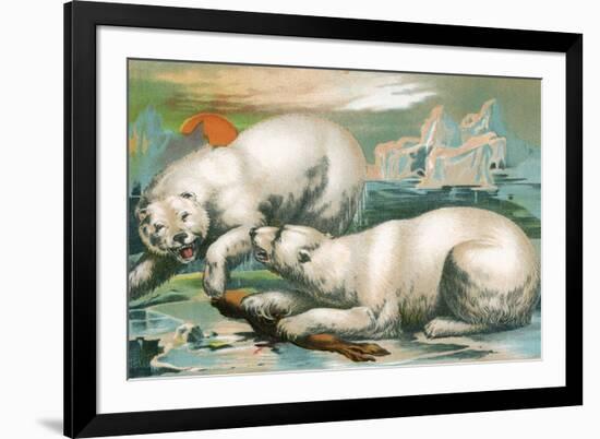 Two Polar Bears Fighting over Seal, 1884-null-Framed Giclee Print