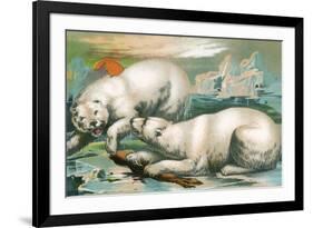 Two Polar Bears Fighting over Seal, 1884-null-Framed Giclee Print