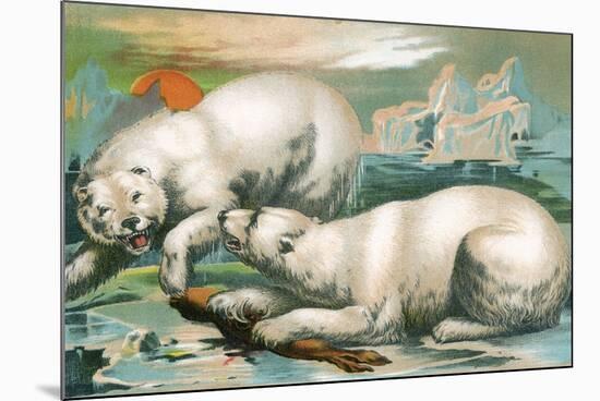 Two Polar Bears Fighting over Seal, 1884-null-Mounted Giclee Print