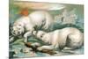 Two Polar Bears Fighting over Seal, 1884-null-Mounted Giclee Print