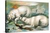 Two Polar Bears Fighting over Seal, 1884-null-Stretched Canvas