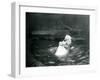 Two Polar Bears, Including a Juvenile, Hugging and Playing in a Pool at London Zoo, June 1922-Frederick William Bond-Framed Giclee Print