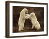Two Polar Bears Play Fighting, Churchill, Hudson Bay, Canada-Inaki Relanzon-Framed Photographic Print
