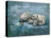 Two Polar Bears Relaxing-Stephen Mitchell-Stretched Canvas