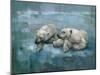 Two Polar Bears Relaxing-Stephen Mitchell-Mounted Art Print