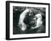 Two Polar Bears Romping in their Pool at London Zoo in 1926 (B/W Photo)-Frederick William Bond-Framed Giclee Print