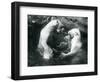 Two Polar Bears Romping in their Pool at London Zoo in 1926 (B/W Photo)-Frederick William Bond-Framed Giclee Print