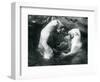 Two Polar Bears Romping in their Pool at London Zoo in 1926 (B/W Photo)-Frederick William Bond-Framed Giclee Print