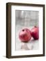 Two Pomegranates, Close-Up-Jana Ihle-Framed Photographic Print