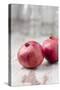 Two Pomegranates, Close-Up-Jana Ihle-Stretched Canvas