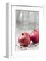 Two Pomegranates, Close-Up-Jana Ihle-Framed Photographic Print