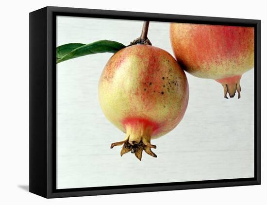 Two Pomegranates-null-Framed Stretched Canvas