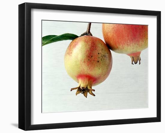Two Pomegranates-null-Framed Photographic Print