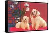 Two Poodles-null-Framed Stretched Canvas