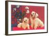 Two Poodles-null-Framed Art Print