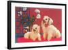 Two Poodles-null-Framed Art Print