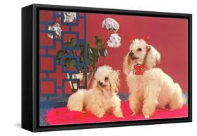 Two Poodles-null-Framed Stretched Canvas