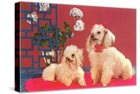 Two Poodles-null-Stretched Canvas