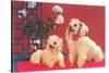 Two Poodles-null-Stretched Canvas