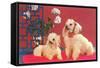 Two Poodles-null-Framed Stretched Canvas