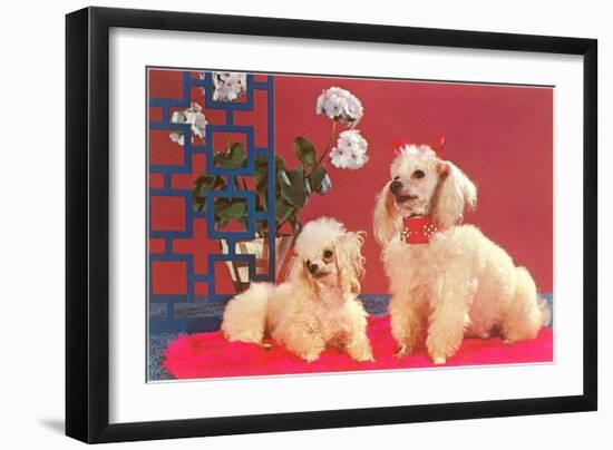 Two Poodles-null-Framed Art Print