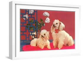 Two Poodles-null-Framed Art Print