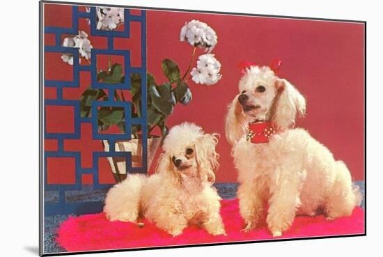 Two Poodles-null-Mounted Art Print