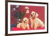 Two Poodles-null-Framed Premium Giclee Print