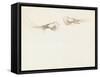 Two Prawns-John Singer Sargent-Framed Stretched Canvas
