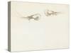 Two Prawns-John Singer Sargent-Stretched Canvas