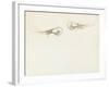 Two Prawns-John Singer Sargent-Framed Giclee Print