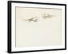 Two Prawns-John Singer Sargent-Framed Giclee Print