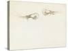 Two Prawns-John Singer Sargent-Stretched Canvas