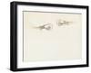 Two Prawns-John Singer Sargent-Framed Giclee Print