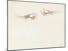 Two Prawns-John Singer Sargent-Mounted Giclee Print