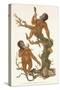 Two Primates on a Tree, 1823-Edward Donovan-Stretched Canvas
