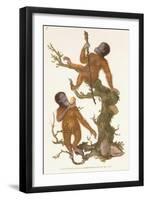 Two Primates on a Tree, 1823-Edward Donovan-Framed Giclee Print