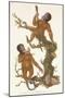 Two Primates on a Tree, 1823-Edward Donovan-Mounted Giclee Print