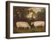 Two Prize Border Leicester Rams in a Landscape, 1800-Timothy Easton-Framed Giclee Print