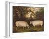 Two Prize Border Leicester Rams in a Landscape, 1800-Timothy Easton-Framed Giclee Print