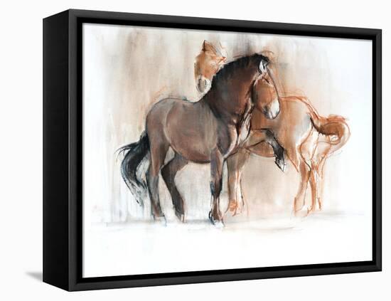 Two (Przewalski), 2013-Mark Adlington-Framed Stretched Canvas