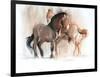 Two (Przewalski), 2013-Mark Adlington-Framed Premium Giclee Print