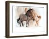 Two (Przewalski), 2013-Mark Adlington-Framed Giclee Print