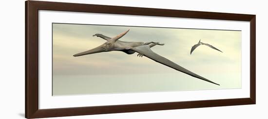 Two Pteranodon Dinosaurs Flying in Cloudy Sky-null-Framed Premium Giclee Print
