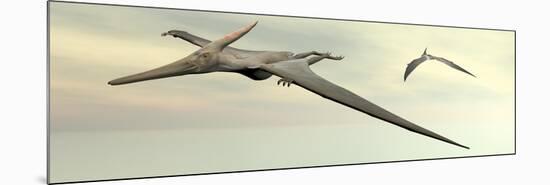 Two Pteranodon Dinosaurs Flying in Cloudy Sky-null-Mounted Premium Giclee Print