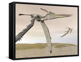 Two Pteranodons Flying over Small Islands-null-Framed Stretched Canvas