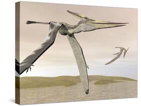 Two Pteranodons Flying over Small Islands-null-Stretched Canvas