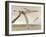 Two Pteranodons Flying over Small Islands-null-Framed Art Print