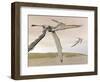 Two Pteranodons Flying over Small Islands-null-Framed Art Print