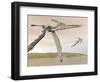 Two Pteranodons Flying over Small Islands-null-Framed Art Print